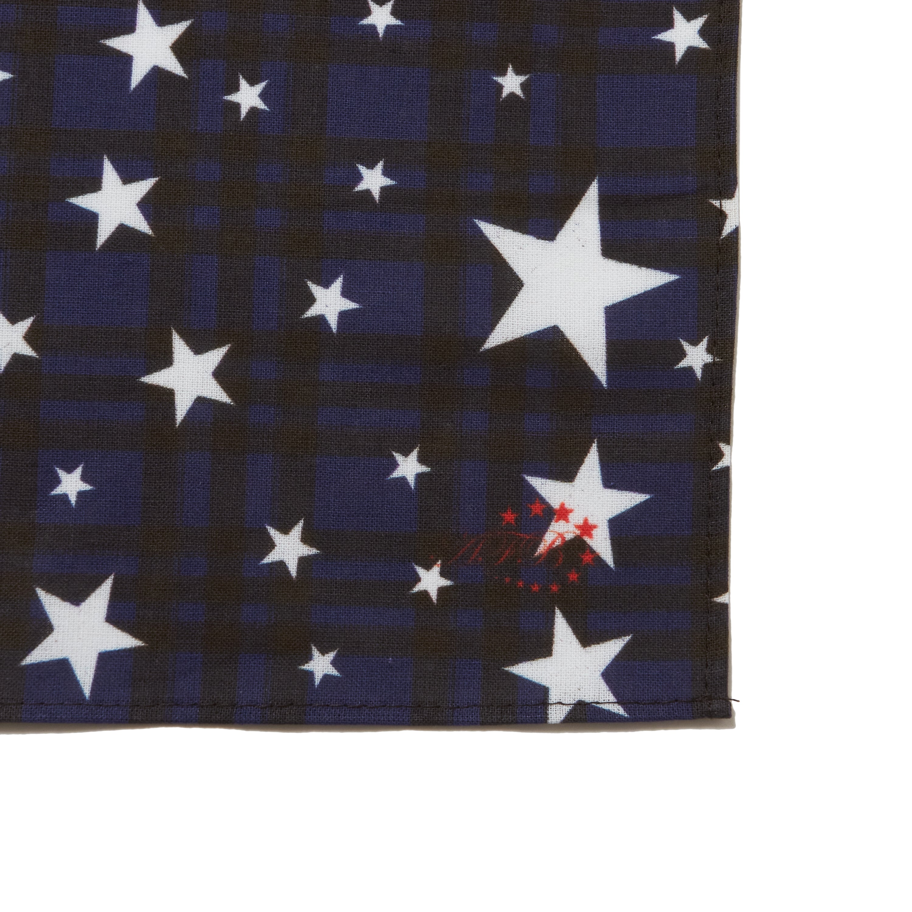 AP STUDIO AMERICANA/アメリカーナsatin bandanna AMERICANA/アメリカーナ】satin bandanna（スカーフ／バンダナ