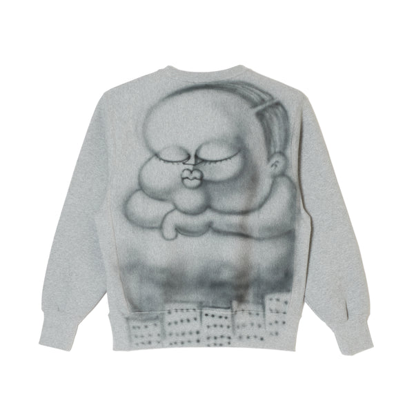 APRO SPRAY SWEAT SHIRTS