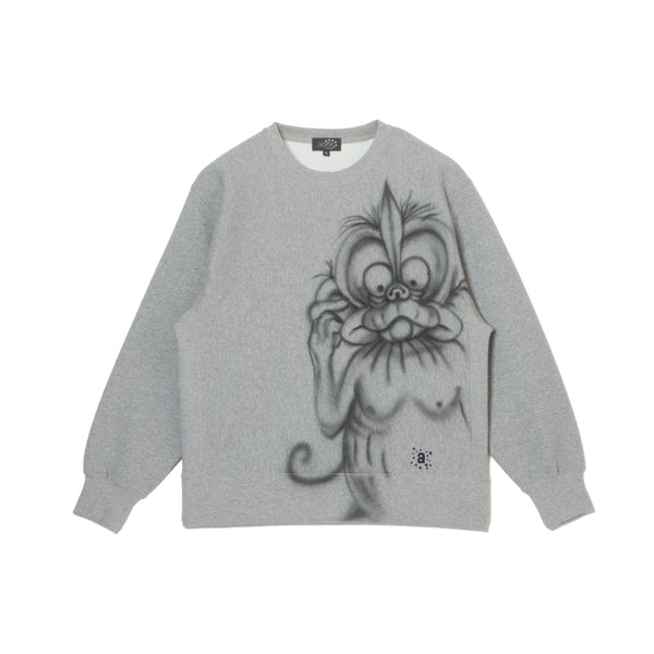 APRO SPRAY SWEAT SHIRTS