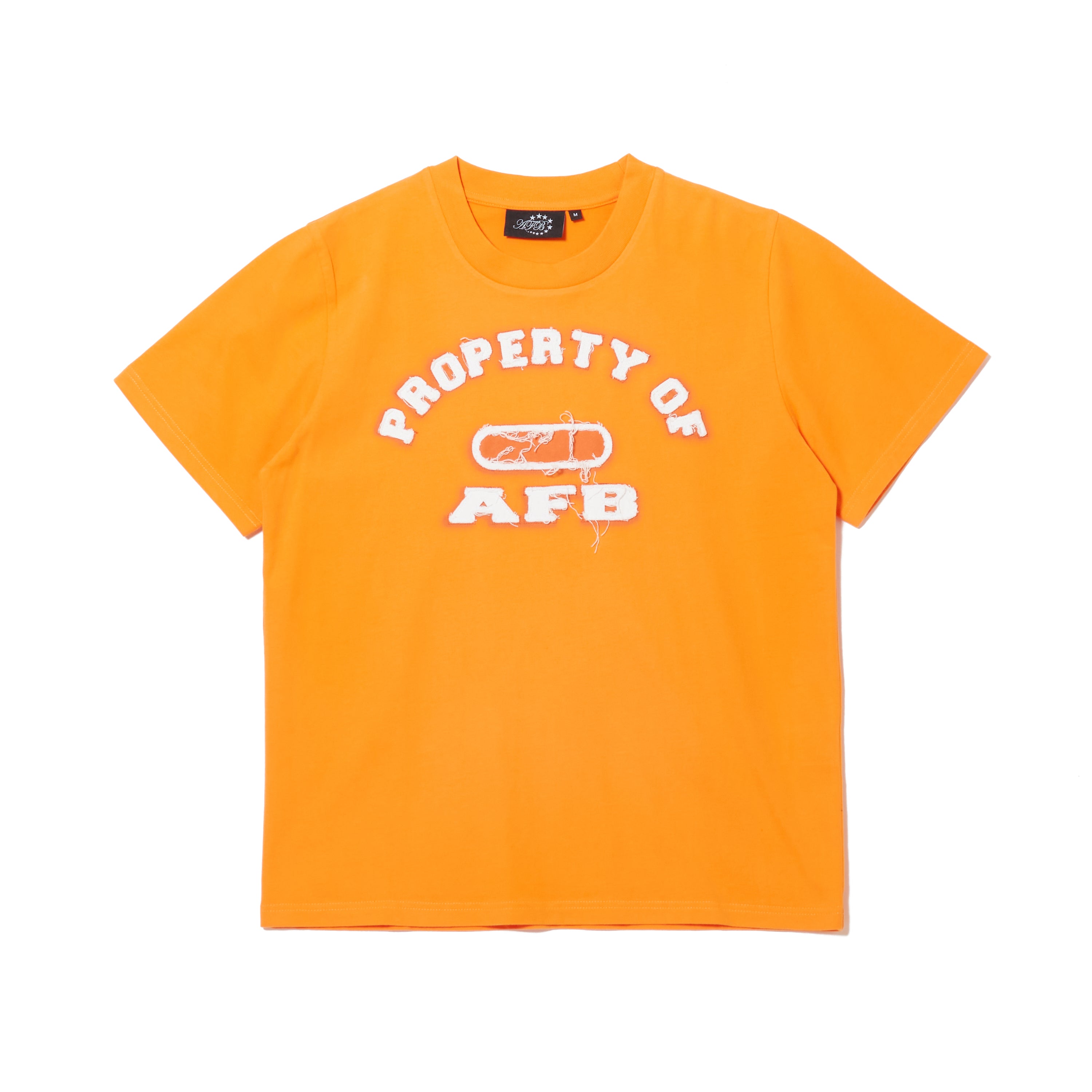 POA TEE – AFB
