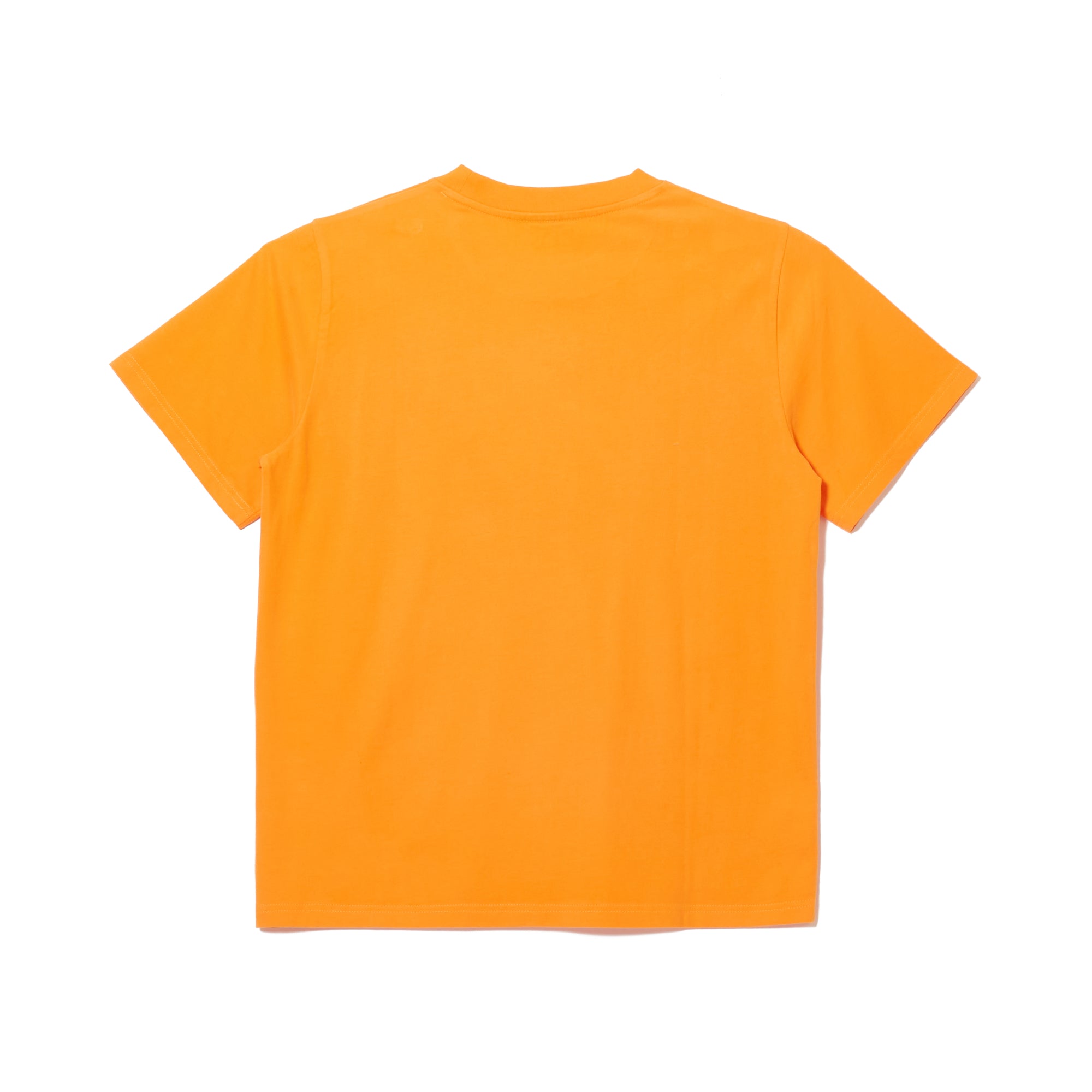 POA TEE
