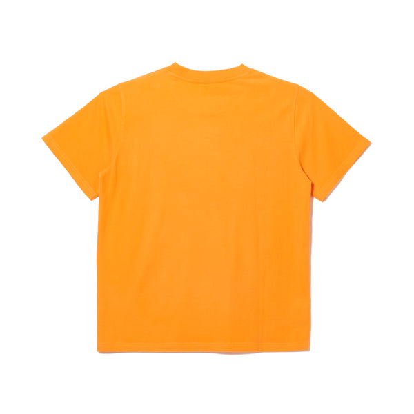 POA TEE