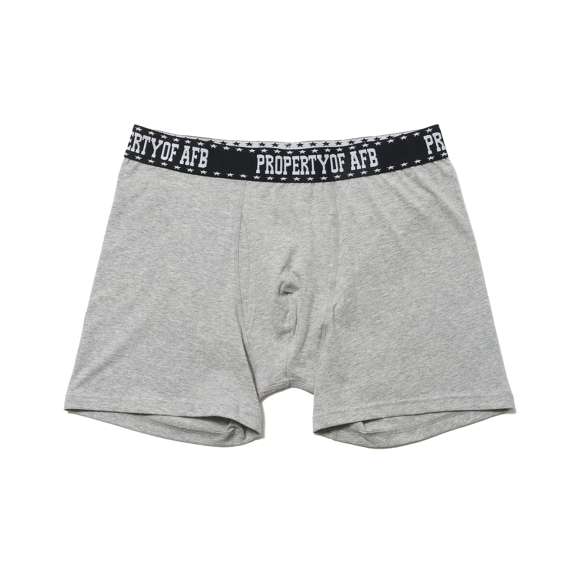 2P AFB BOXER BRIEFS