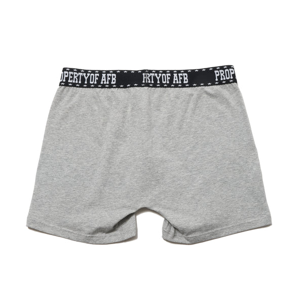 2P AFB BOXER BRIEFS